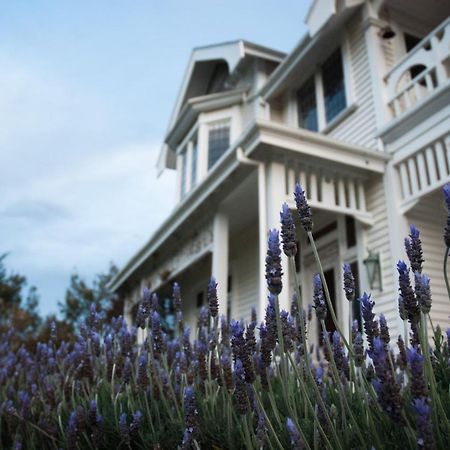 Vynfields Guest House Martinborough Exterior photo